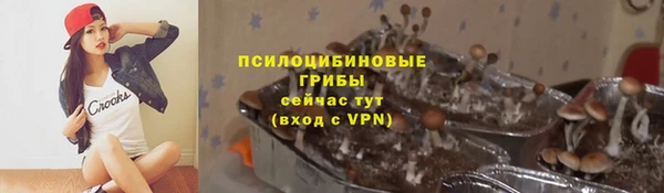 молекула духа Аркадак