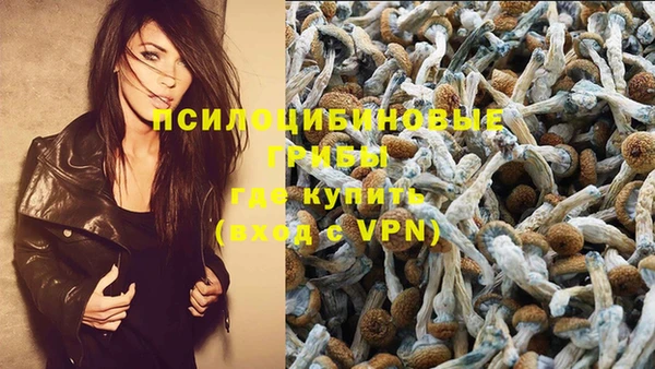 молекула духа Армянск