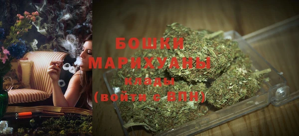 молекула духа Аркадак