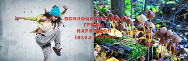 молекула духа Армянск