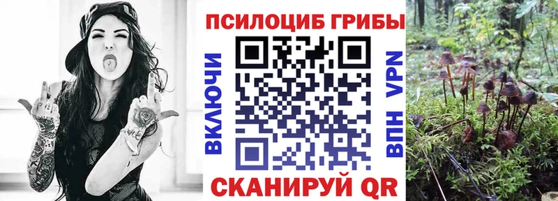 mega как зайти  Армянск  Псилоцибиновые грибы Magic Shrooms 